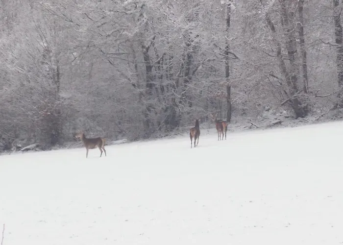 펜션 Les De Morville Malaumont